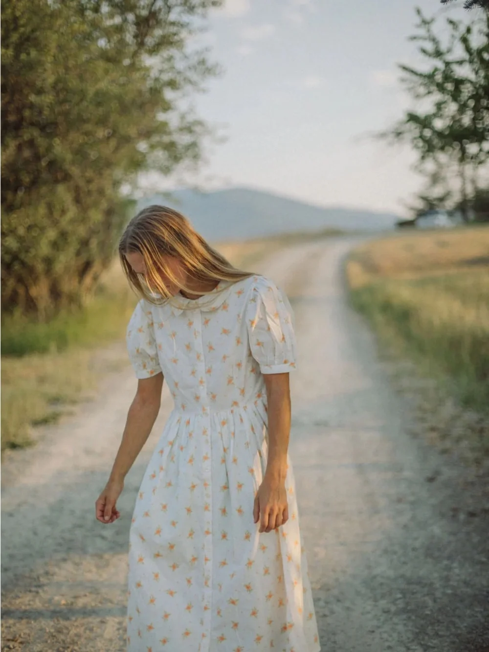 Wilder Rosebud Cottage dress xs